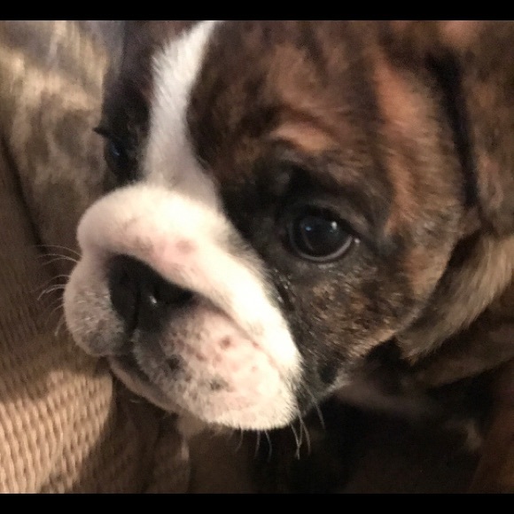 5 Star Seller - Picture 7 of 10